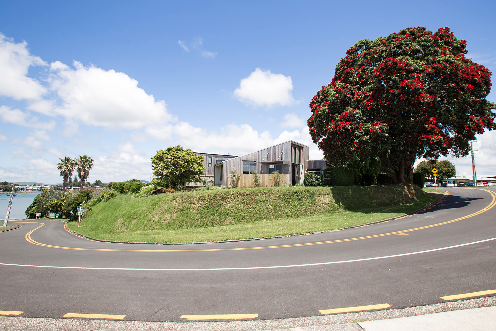 Pōhutukawa